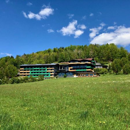 Natura Hotel Bodenmais - Inkl Soft- Und Heissgetraenkeflat Esterno foto